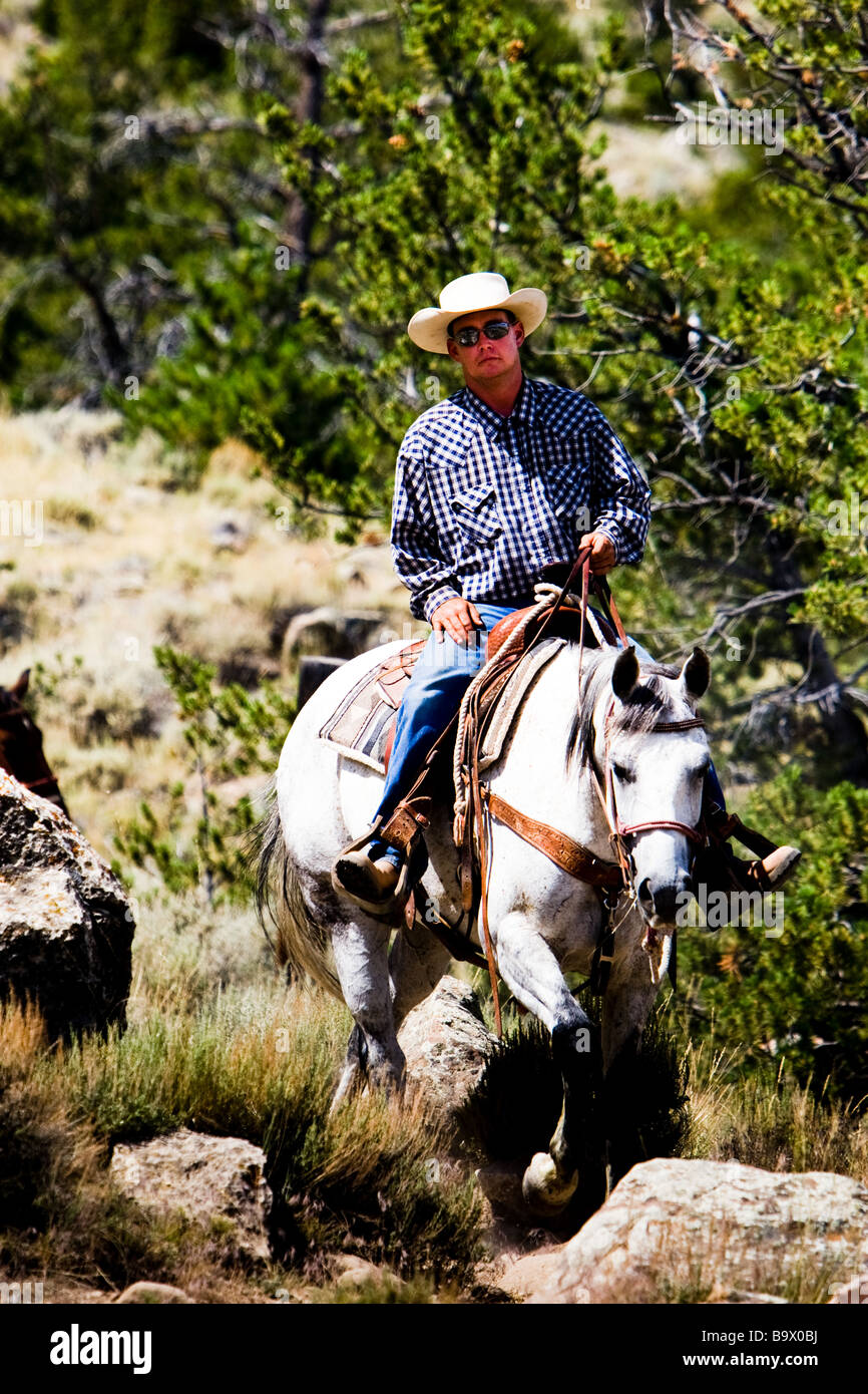 Cowboy hat wrangler guide leads Cedar Mountain Trail Rides Cody Wyoming ...
