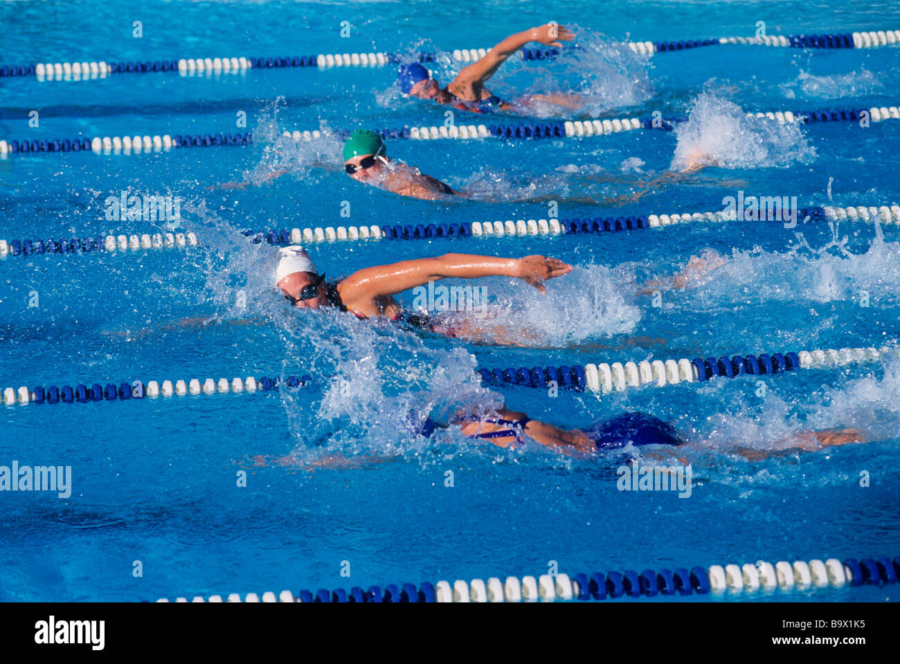 Female swimmers competing in a freestyle race Stock Photo - Alamy