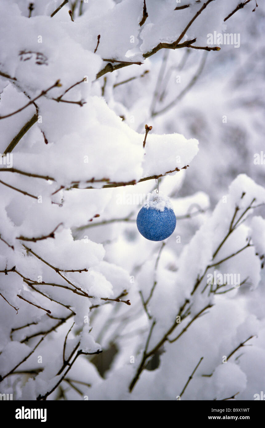 Outdoors with blue Christmas ornament hanging from a branch covered ...