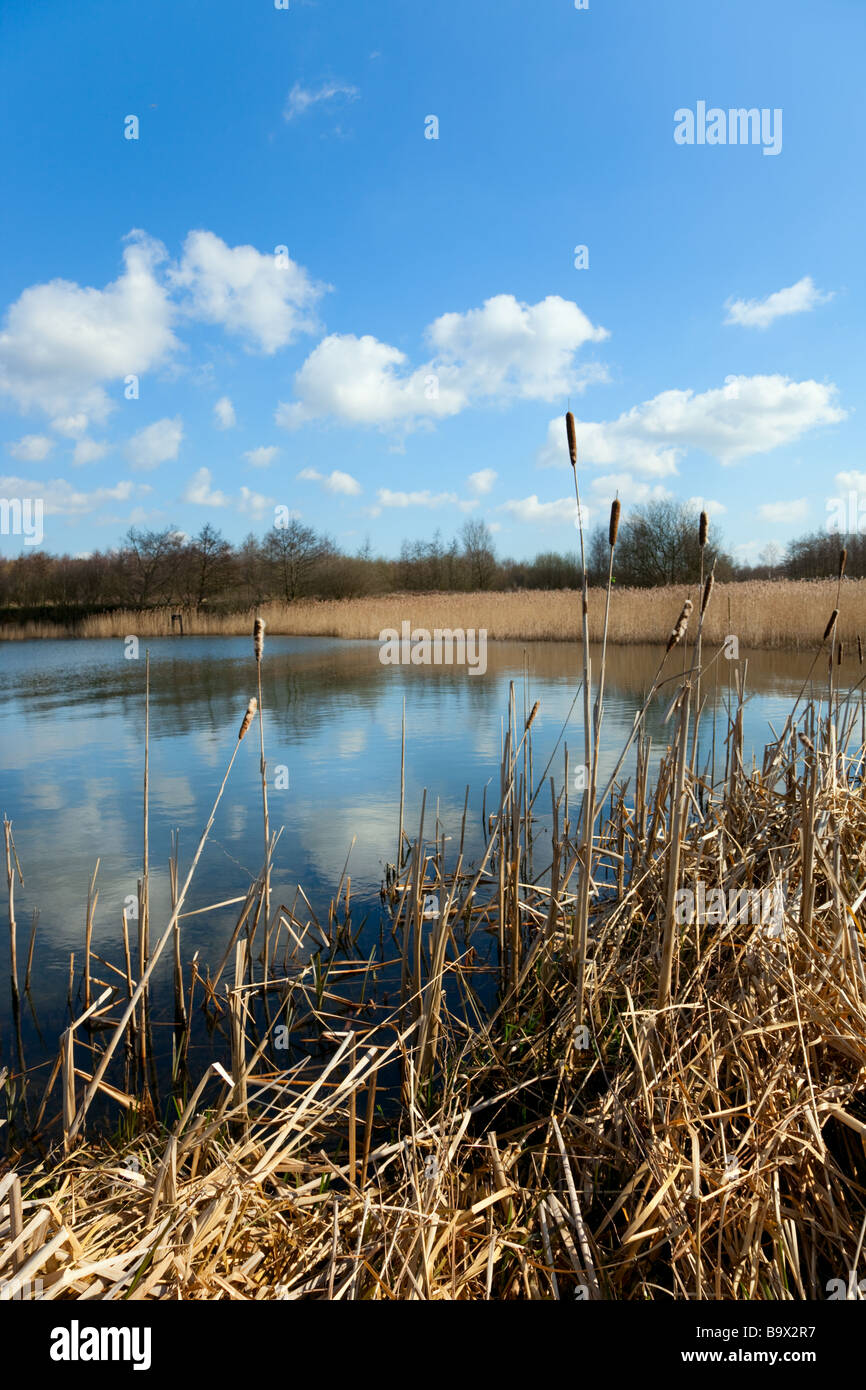 Wigan Flashes in Winter Stock Photo