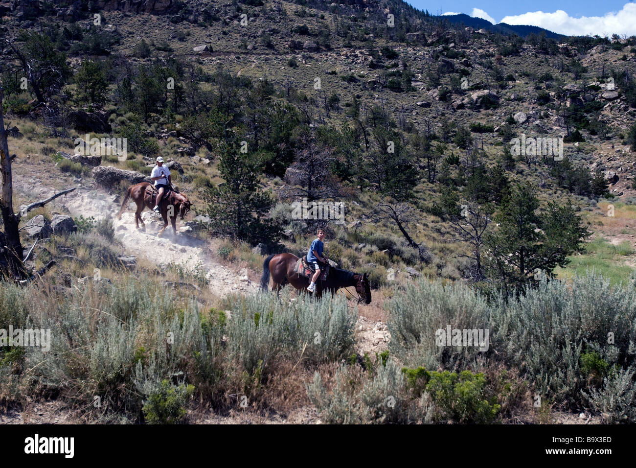 Guided horseback rides hires stock photography and images Alamy