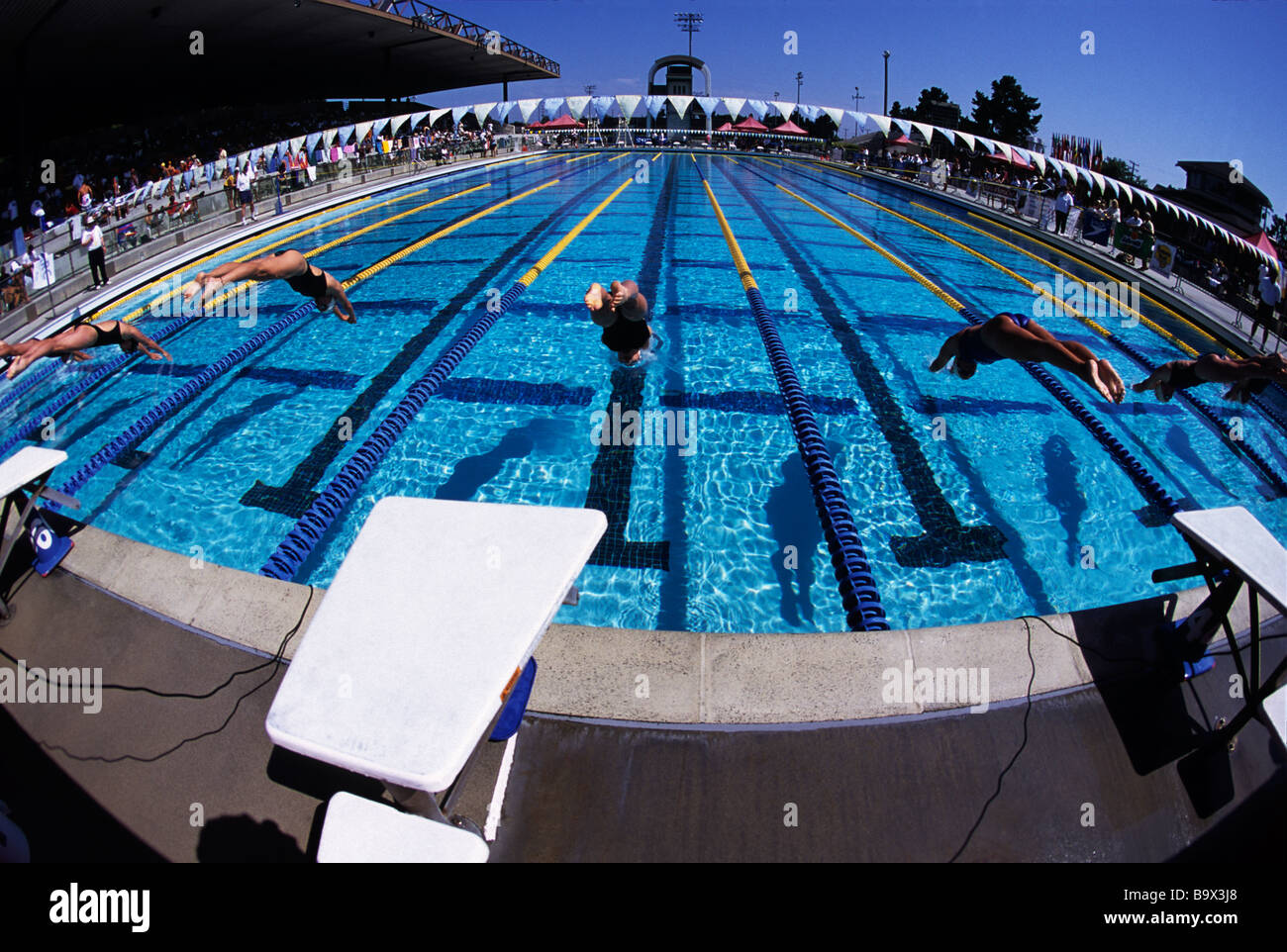 Swimming Pool Start High Resolution Stock Photography and Images Alamy