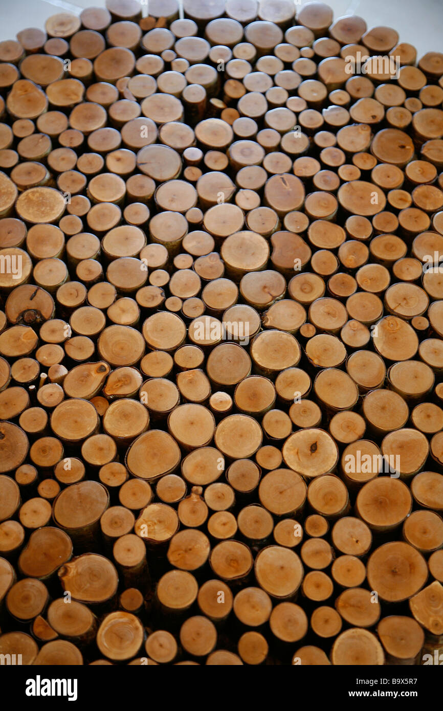 Cross section of tree Branches Stock Photo