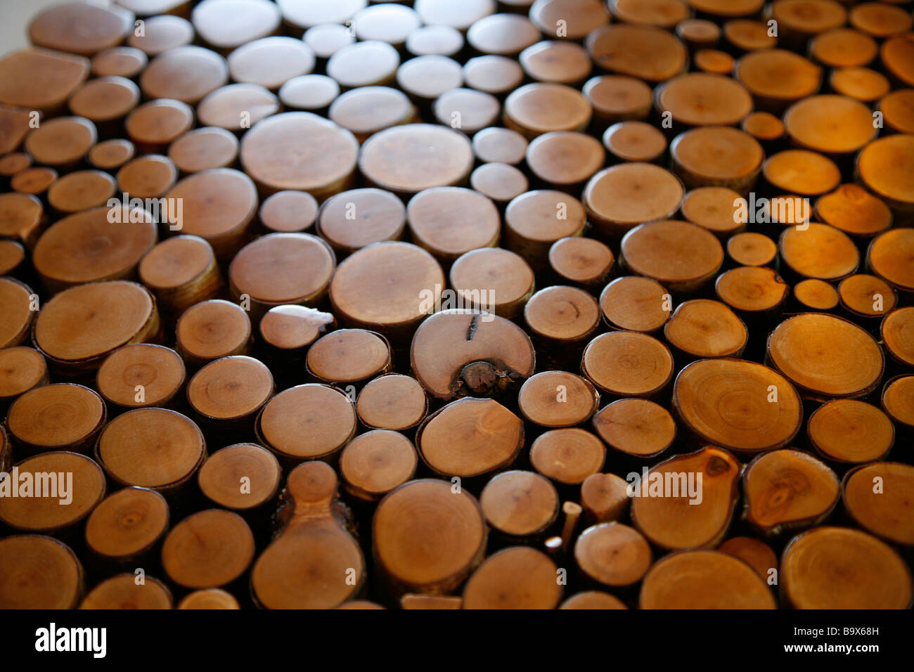 wooden cross section of branches Stock Photo