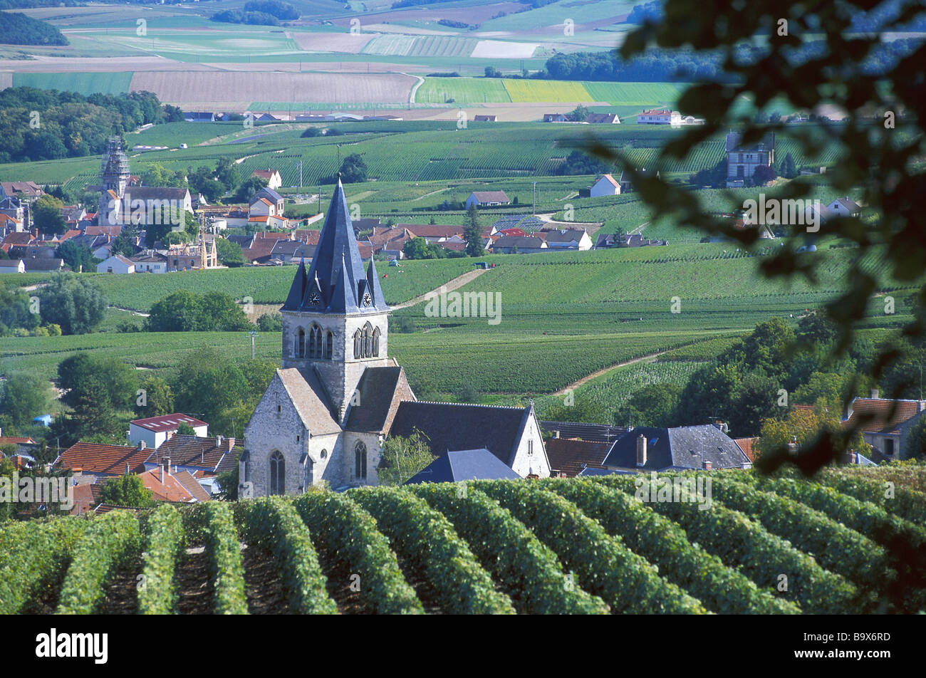 Ville dommange champagne france hires stock photography and images Alamy