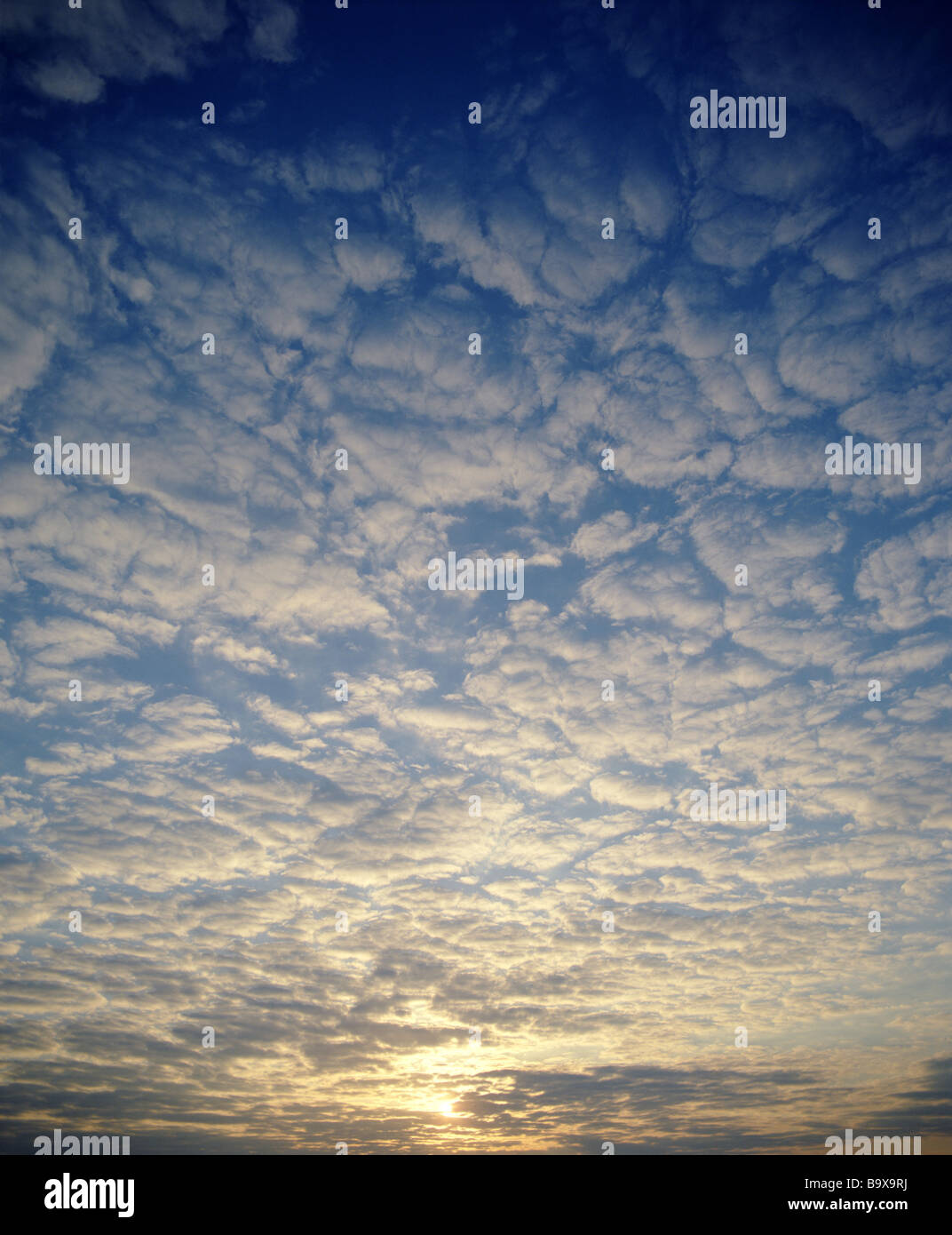 Full inspiration hi-res stock photography and images - Alamy