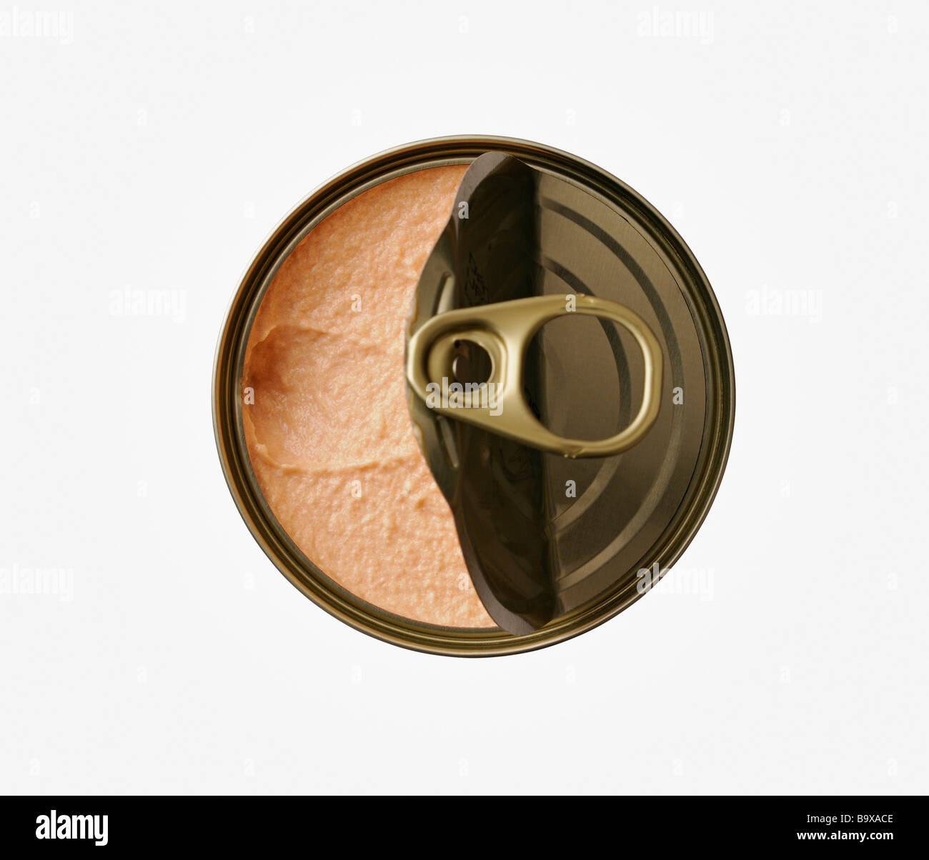 Tin of Meat Paste Stock Photo