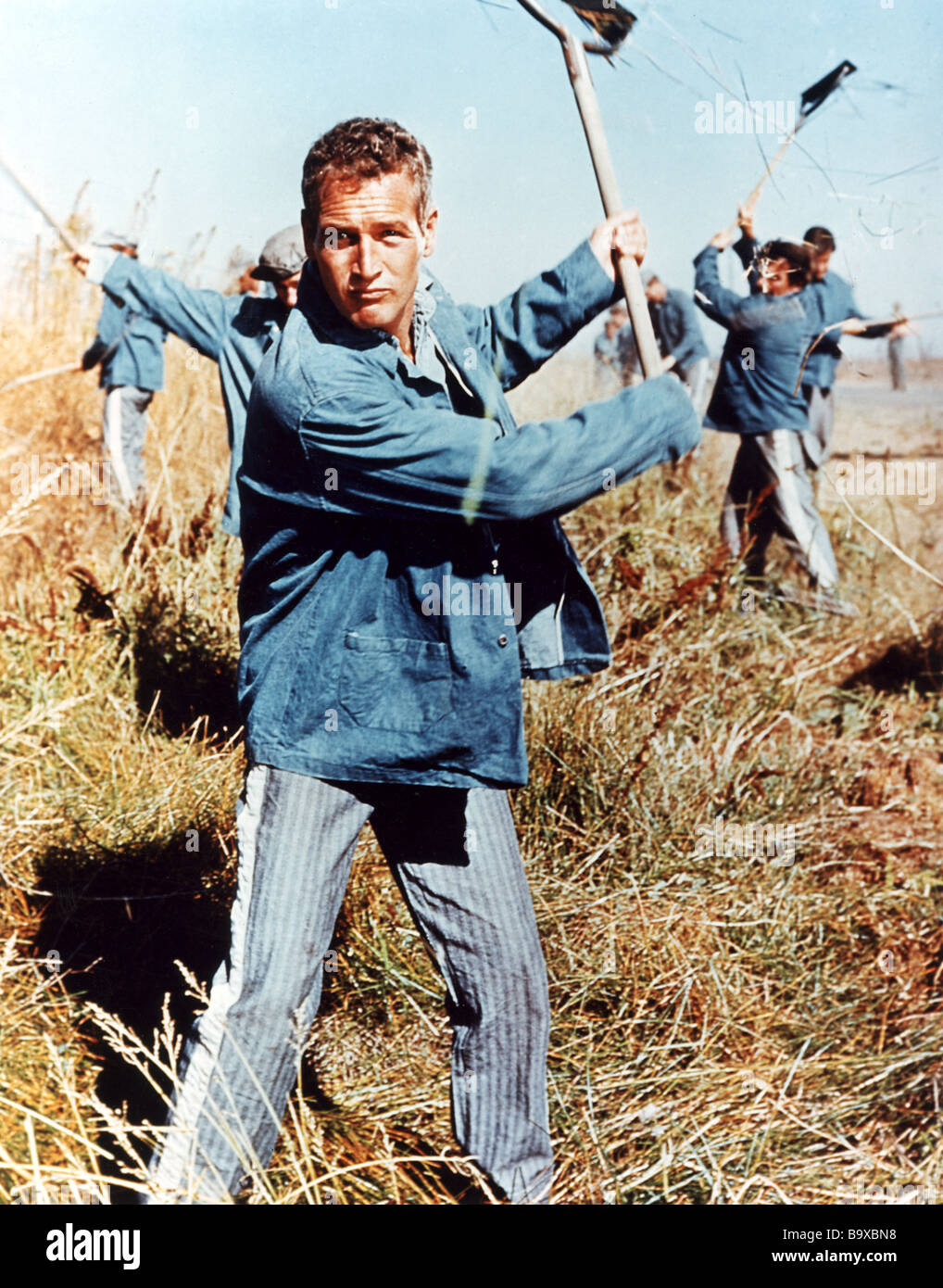 COOL HAND LUKE 1967 Warner film with Paul Newman Stock Photo