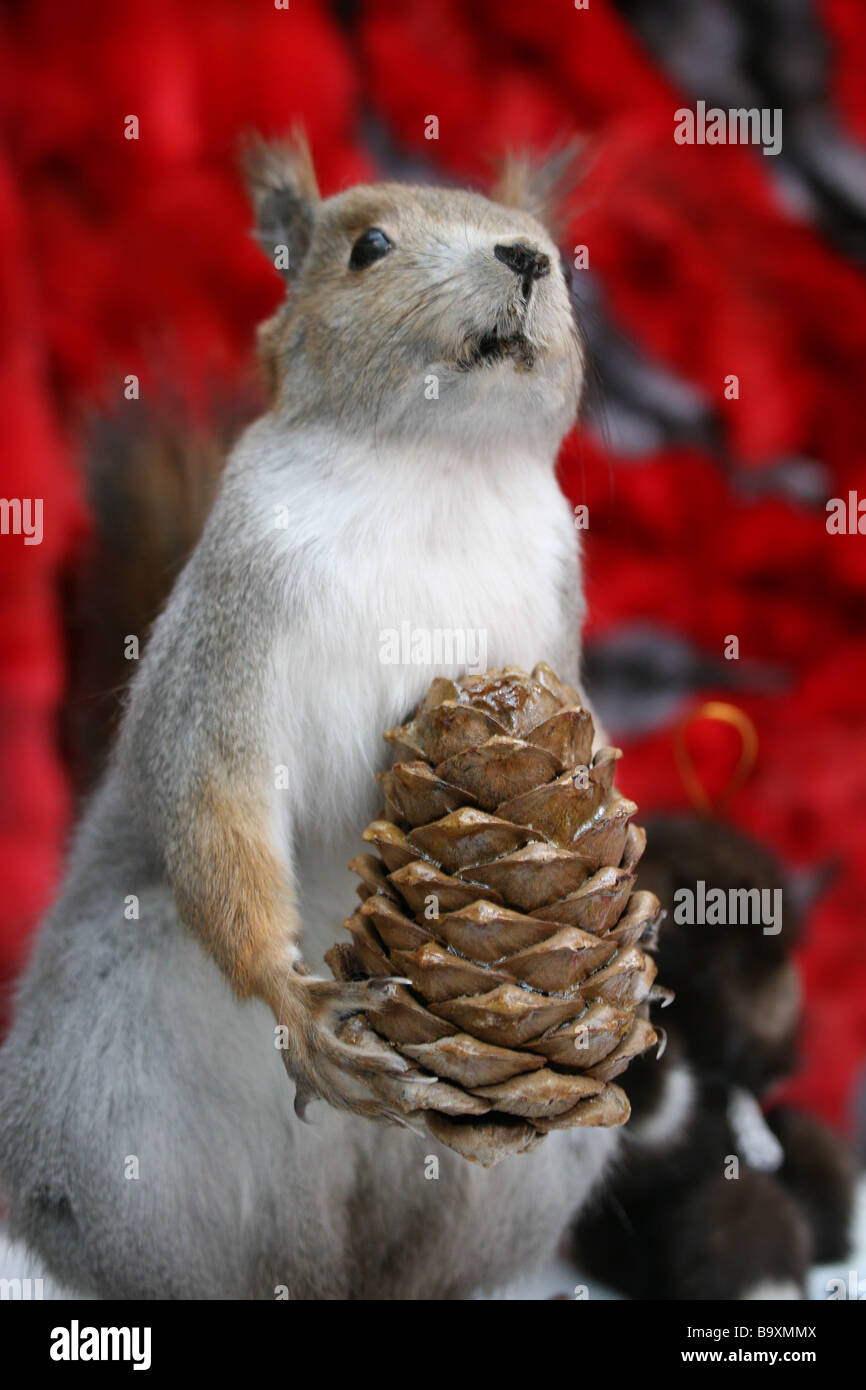 scarecrow of squirrel with cone Stock Photo Alamy