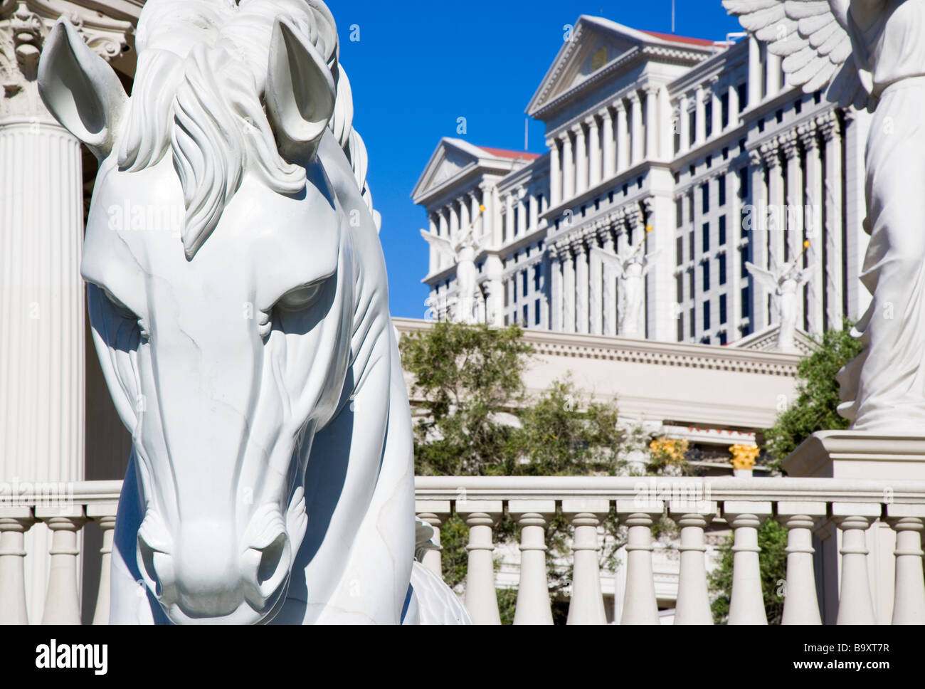 Caesar horse hires stock photography and images Alamy