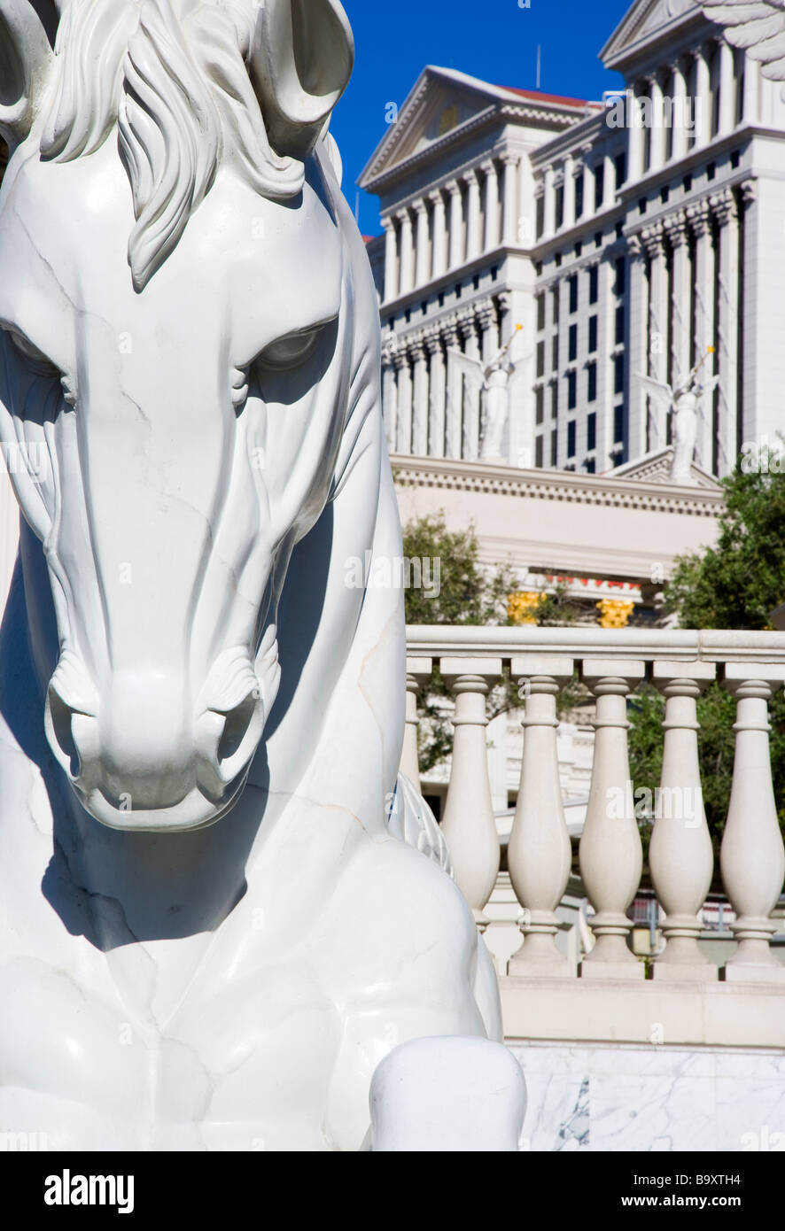 Caesar horse hires stock photography and images Alamy