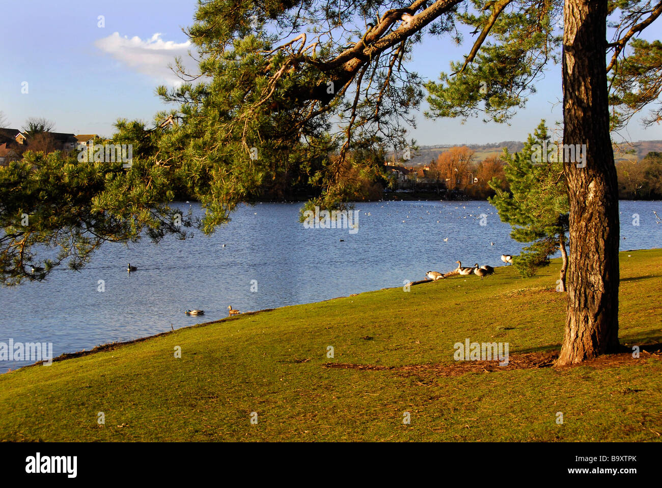 roath park lake cardiff Stock Photo