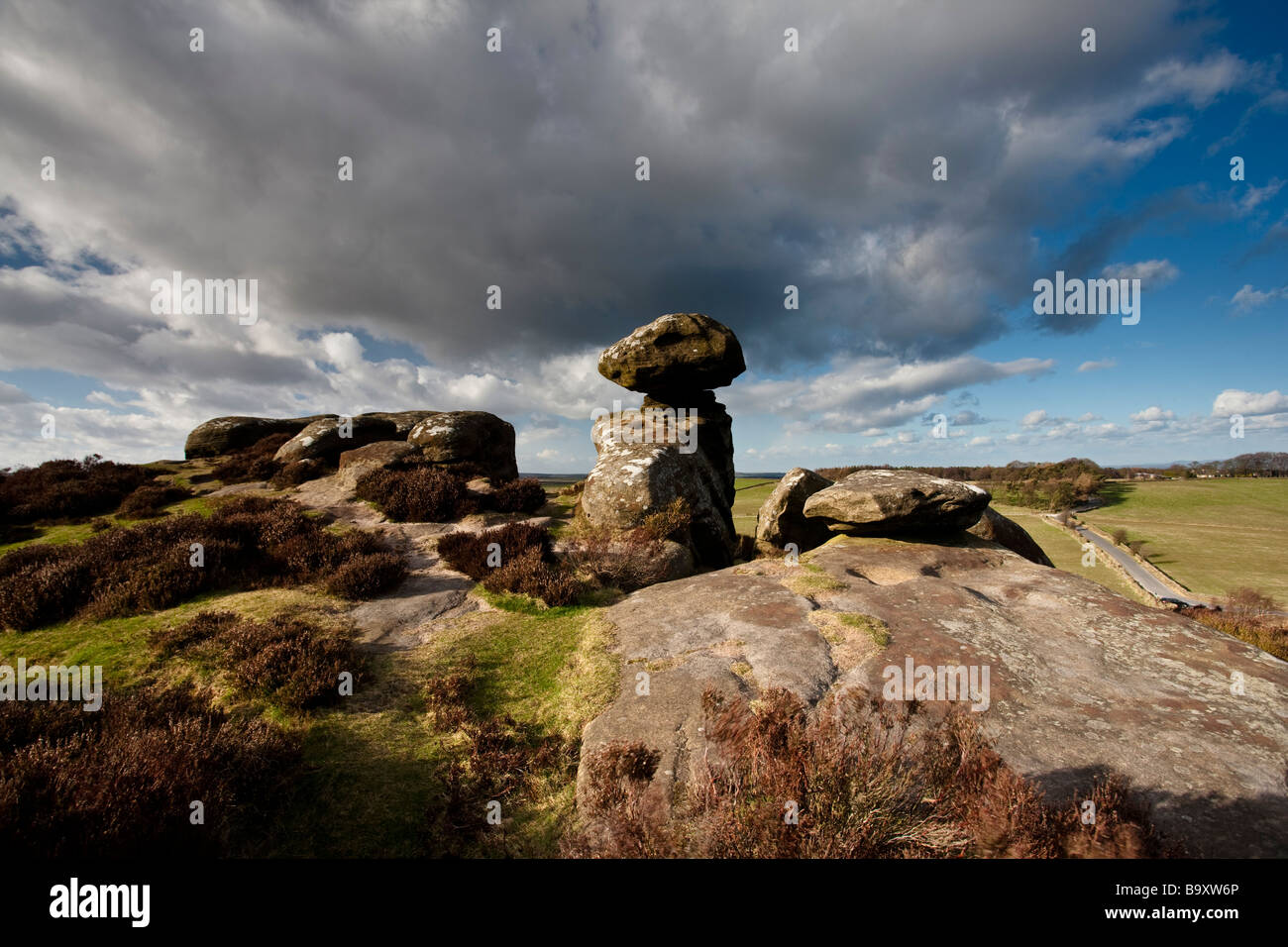 Brimham Rocks near Ripon North Yorkshire part of the Nidderdale area of ...