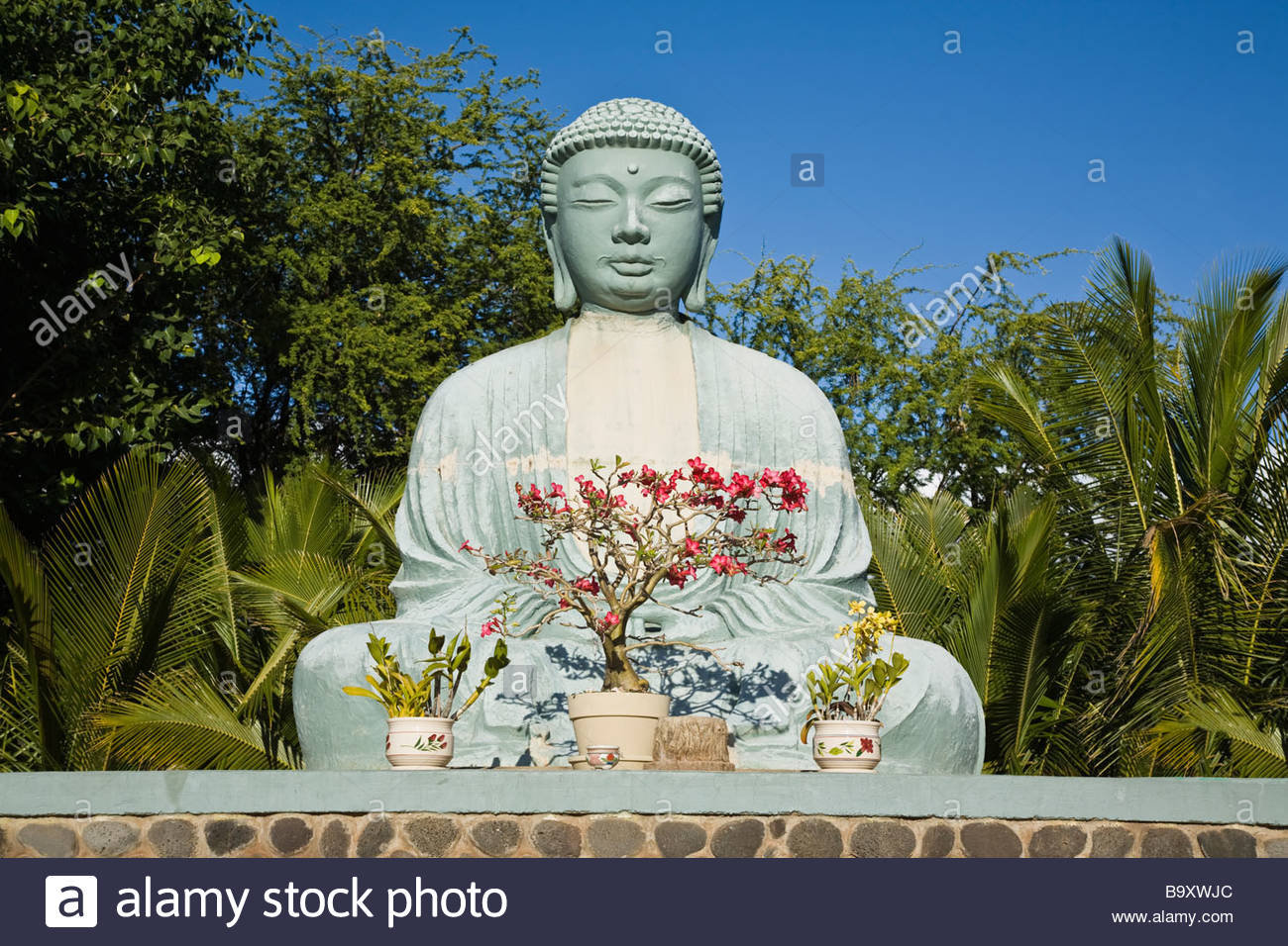 lahaina buddhist personals Giant buddha at lahaina jodo mission, largest buddha outside of japan, maui sight and sights to see attractions and sights in maui hawaii. lahaina buddhist personals Giant buddha at lahaina jodo mission, largest buddha outside of japan, maui sight and sights to see attractions and sights in maui hawaii.