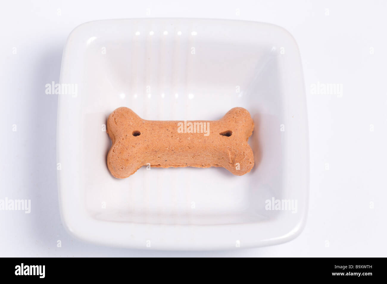 Dog's treat in the shape of bone Stock Photo Alamy