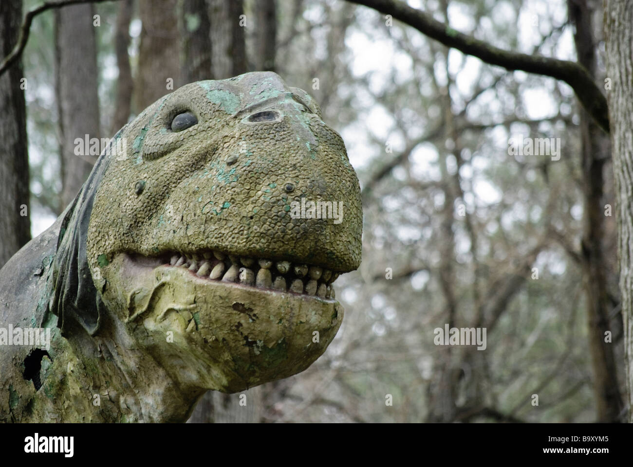 Brontosaurus head hi-res stock photography and images - Alamy