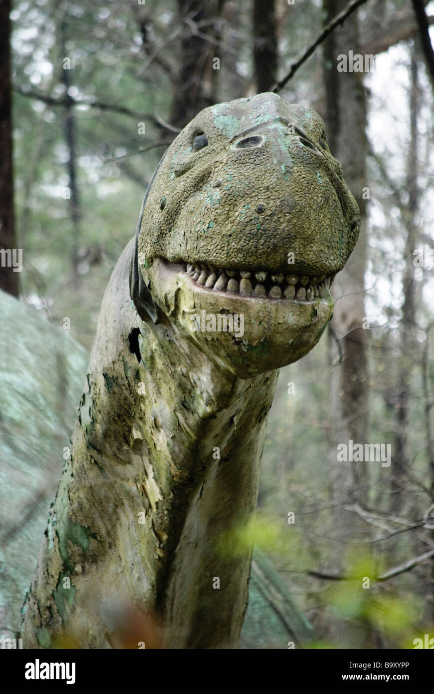 Brontosaurus head hi-res stock photography and images - Alamy