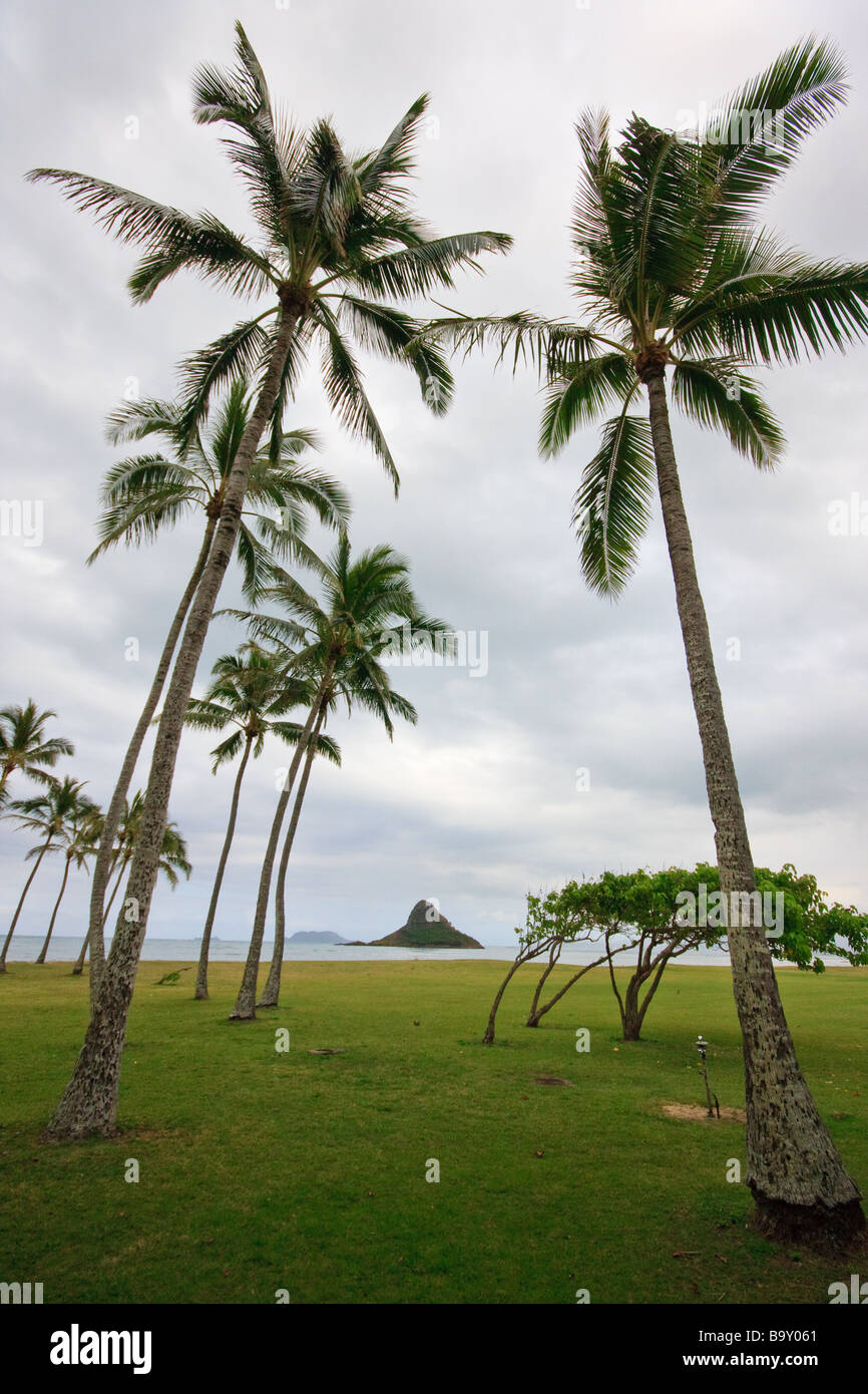 Hawaii Chinese Hat Island Stock Photo Alamy