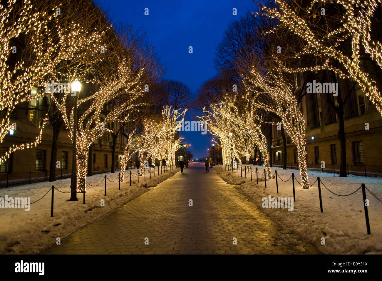 Christmas lights on trees in the Columbia University campus.  Manhattan, New York City, USA. Stock Photo