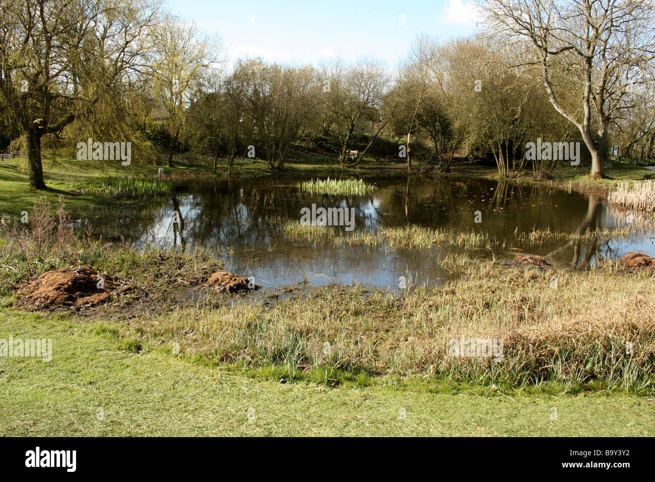 Village pond, Friston, Sussex, England Stock Photo