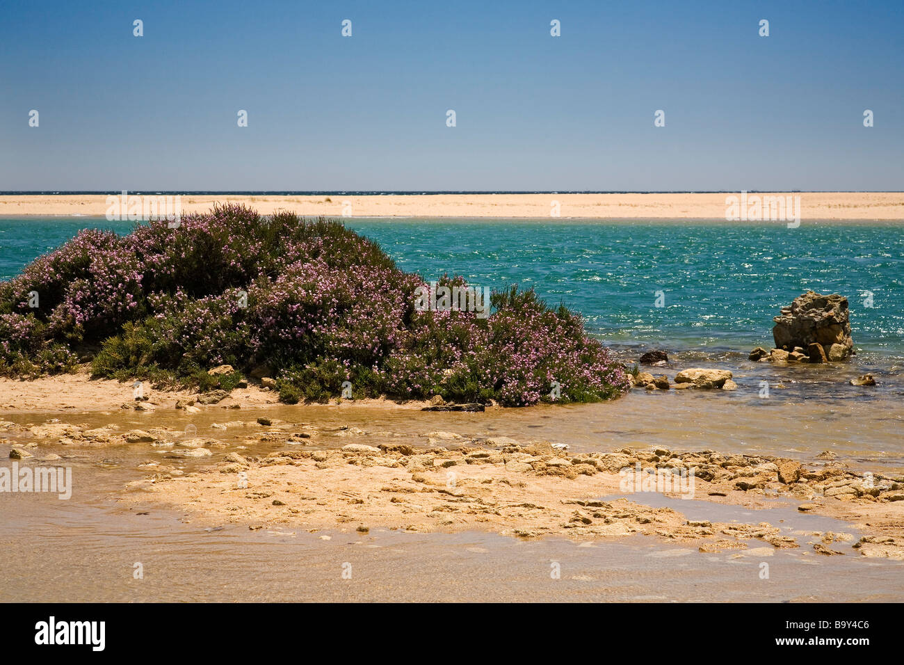 Natural Park Marshes of Barbate Atlantic Ocean Costa de la Luz Cadiz