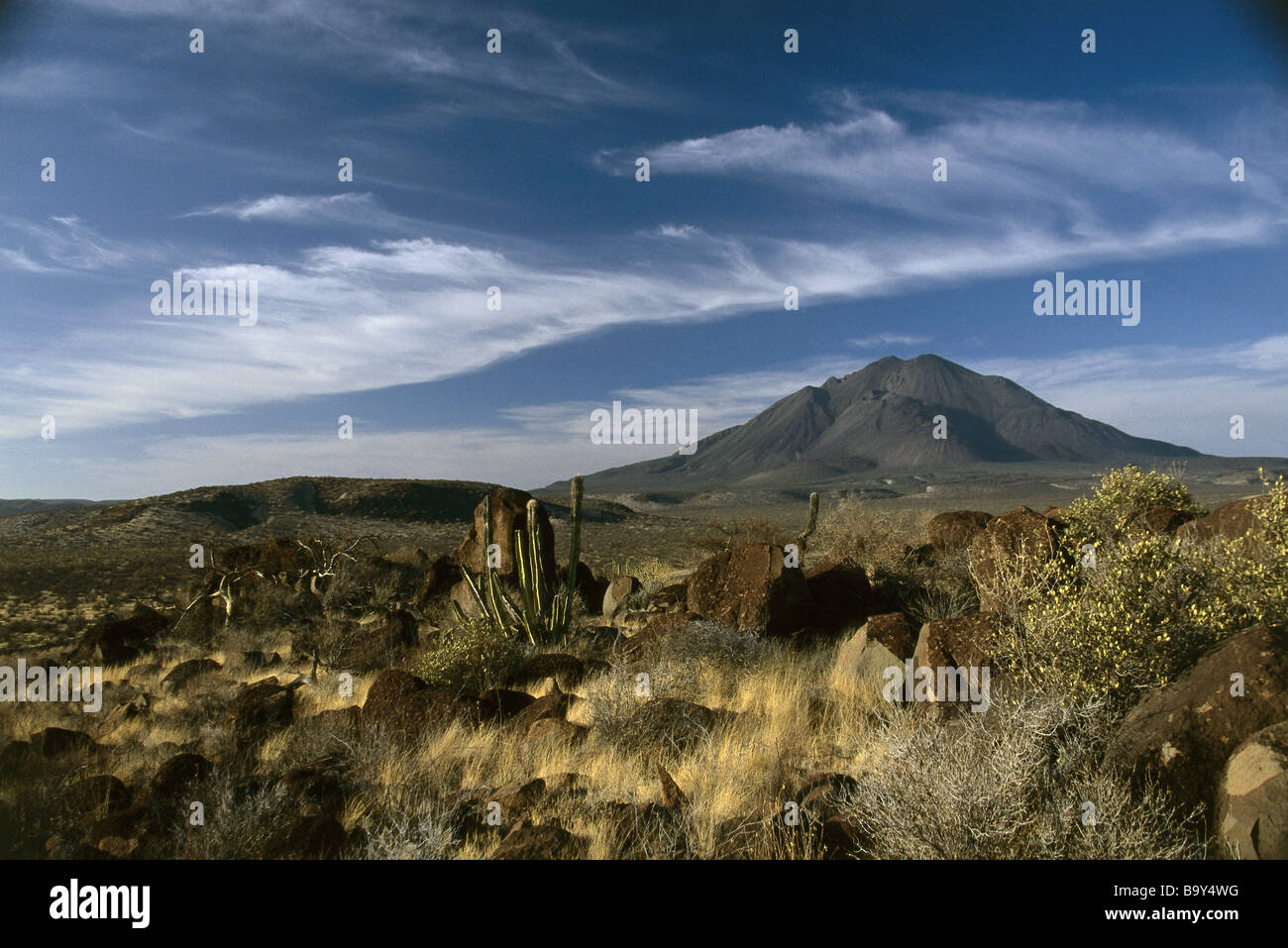 El vizcaino hi-res stock photography and images - Alamy