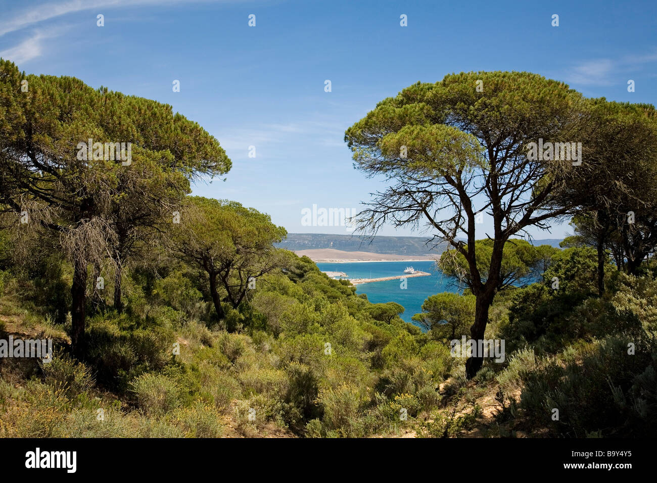 Natural Park of La Breña in Barbate Atlantic Ocean Costa de la Luz