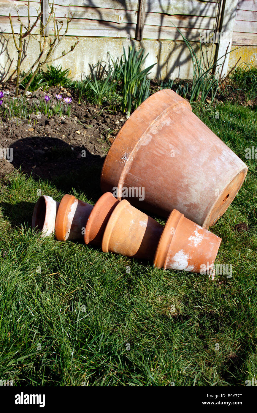 TERRACOTTA POTS ON A LAWN Stock Photo Alamy