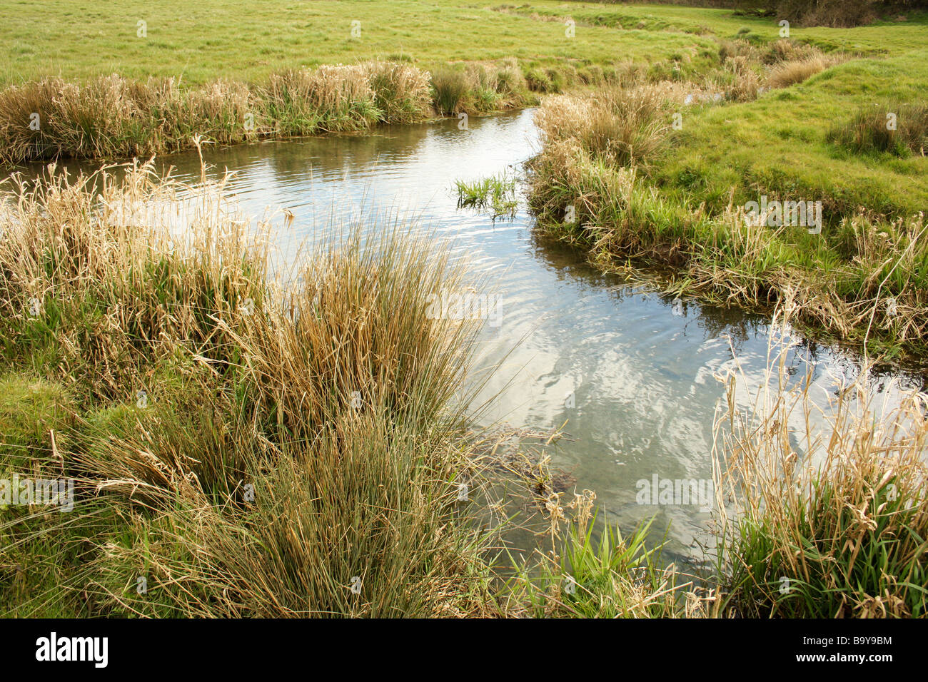 Quiet stream in English countryside Stock Photo