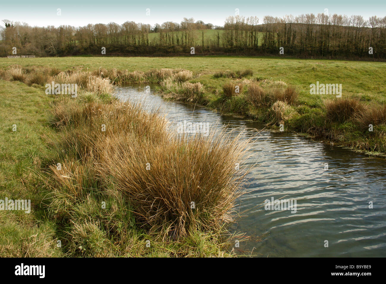 Quiet stream in English countryside Stock Photo