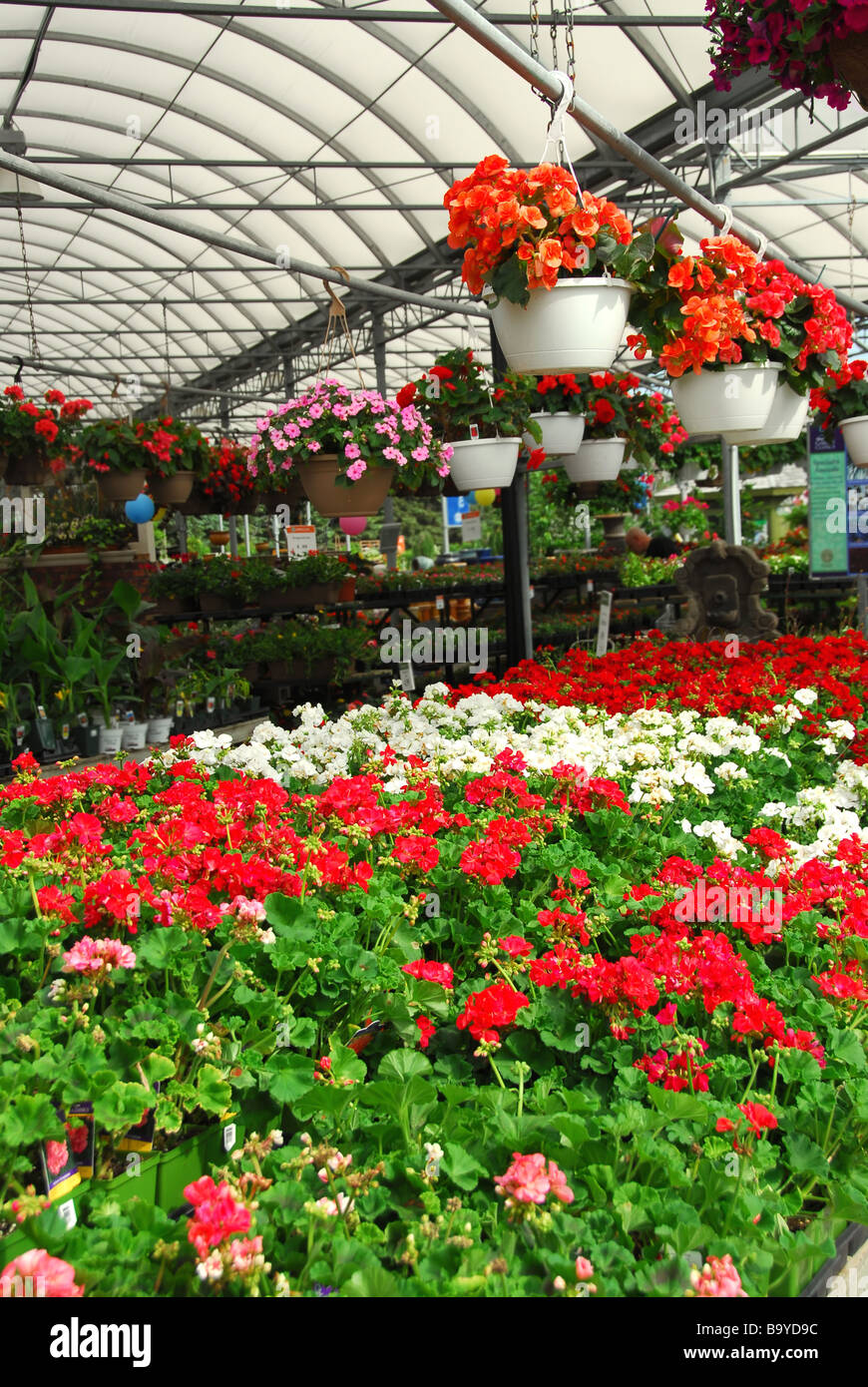 Rows of flowers hires stock photography and images Alamy