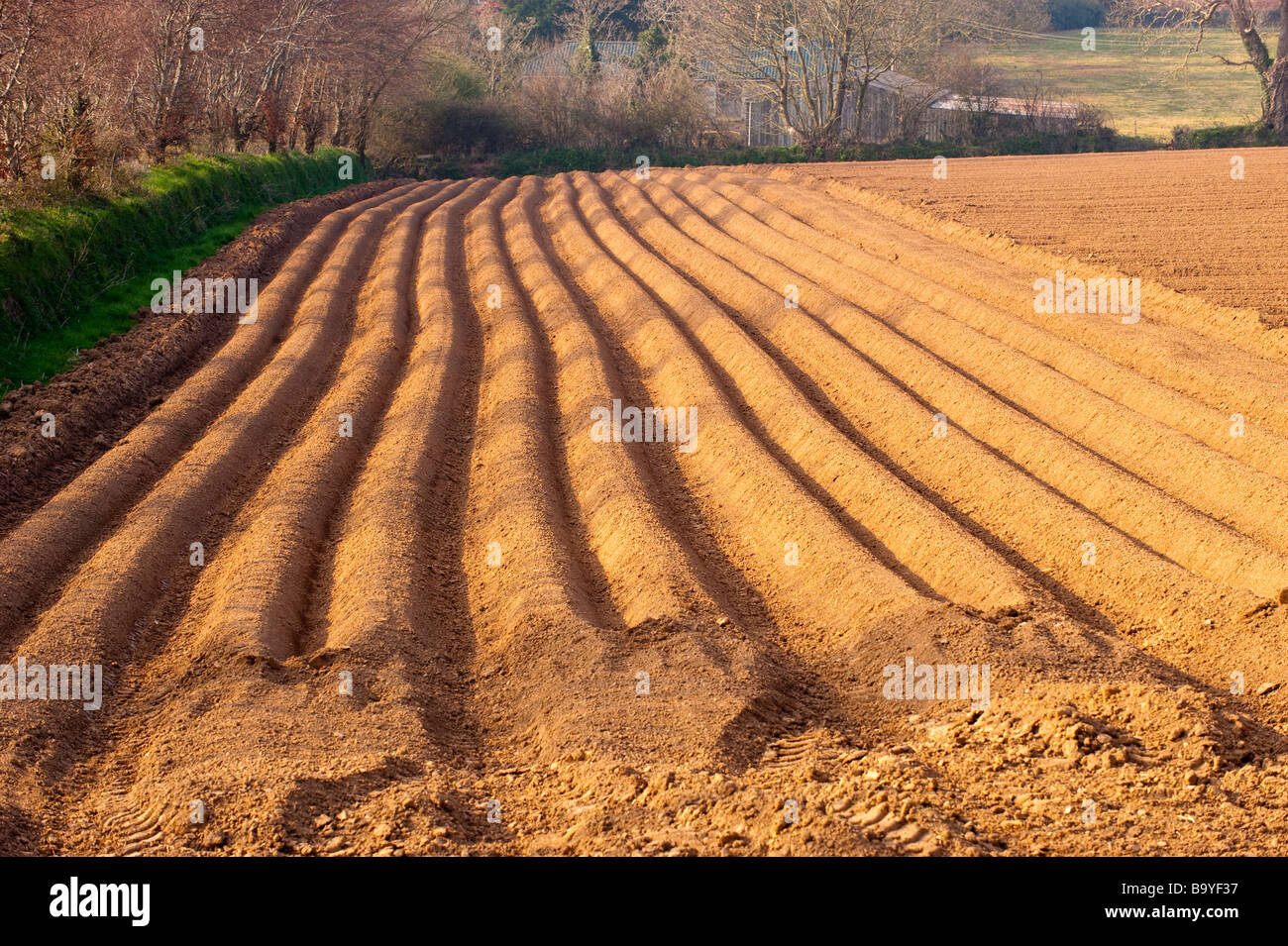 Deeply furrowed ploughed field. UK 2009 Stock Photo