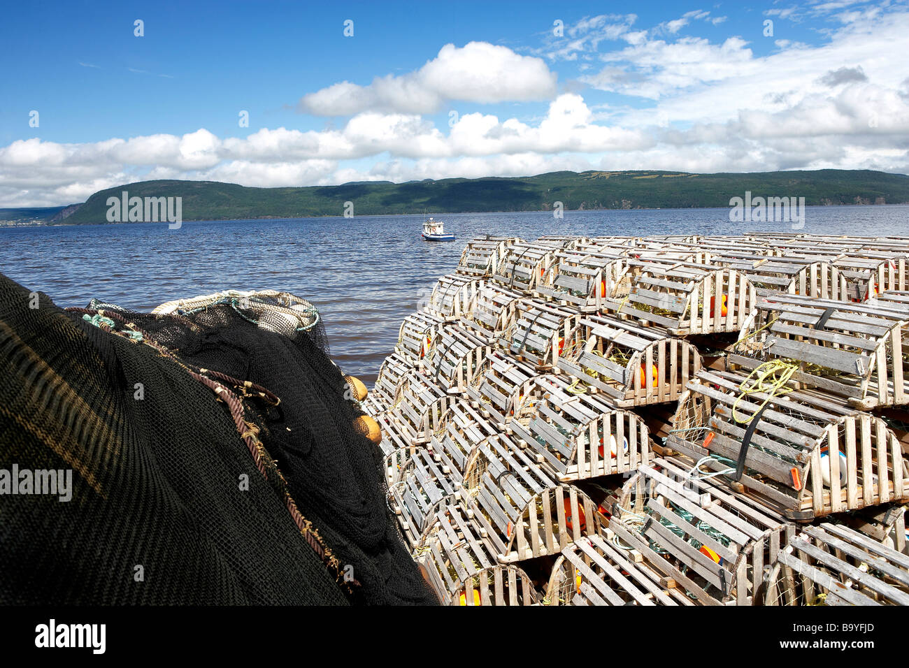 lobster traps in Newfoundland Stock Photo Alamy