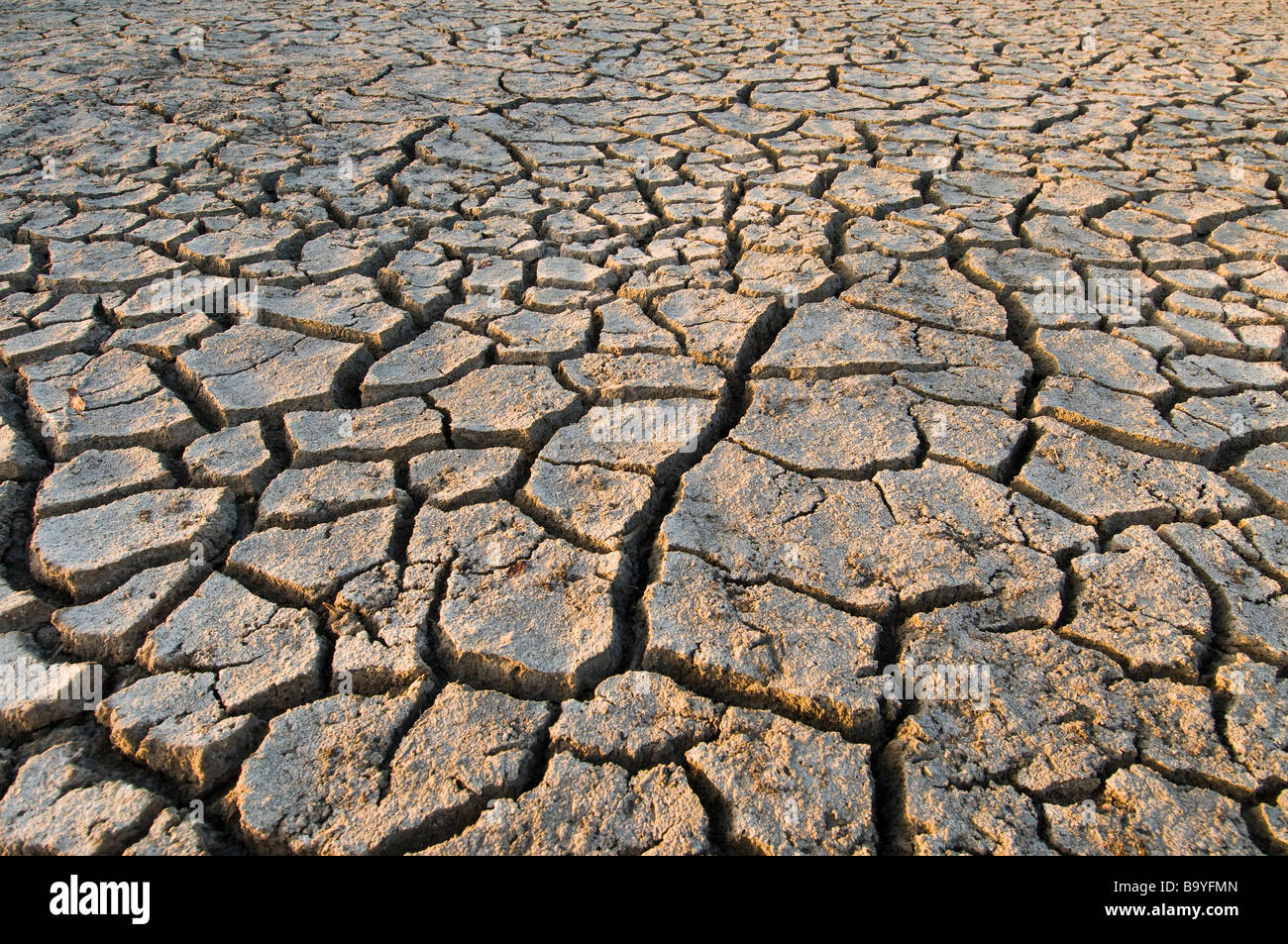 Cracked earth during extended dry season replaces pond, Everglades National Park, Florida Stock Photo