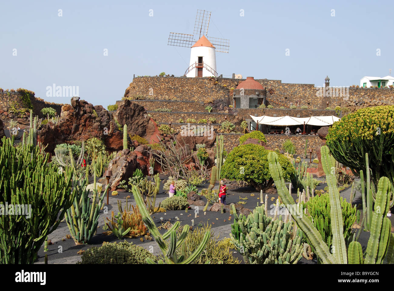 Jardin de Cactus, Guatiza, Lanzarote, Canary Islands, Spain Stock Photo