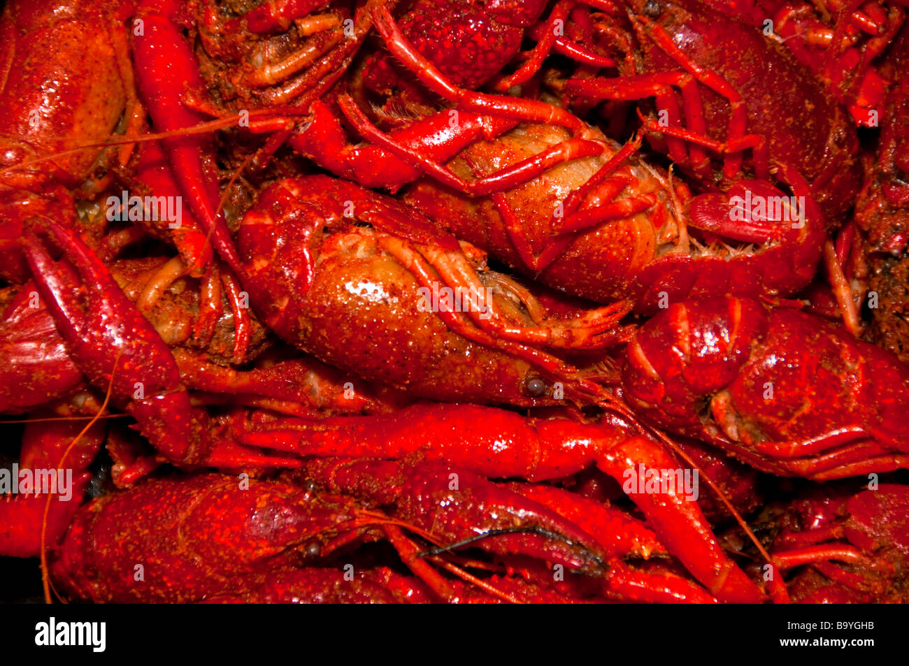Louisiana boiled red crawfish cryfish in bowl Stock Photo Alamy
