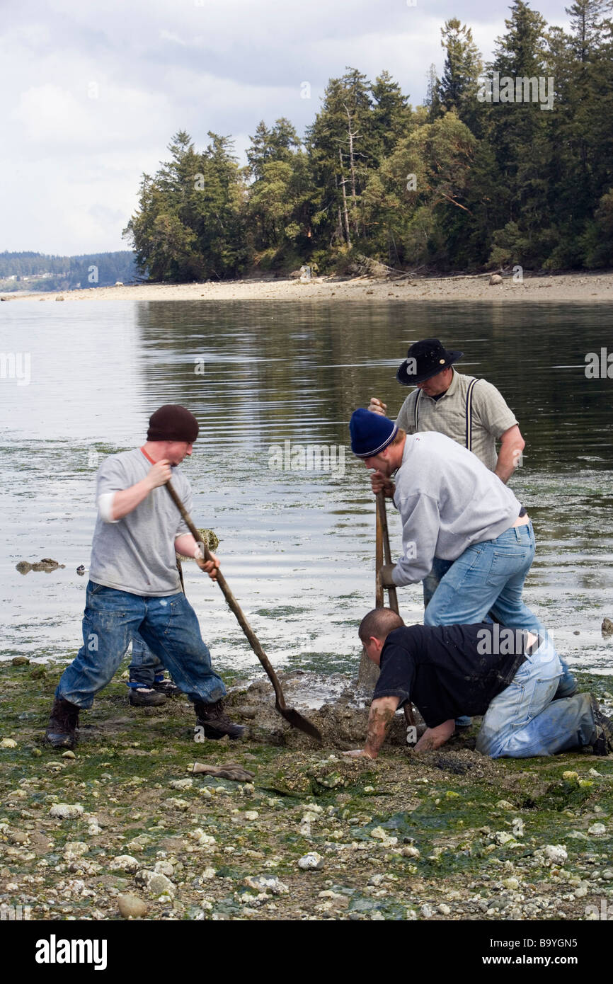Men clamming at Penrose Point State Park, Washington Stock Photo Alamy