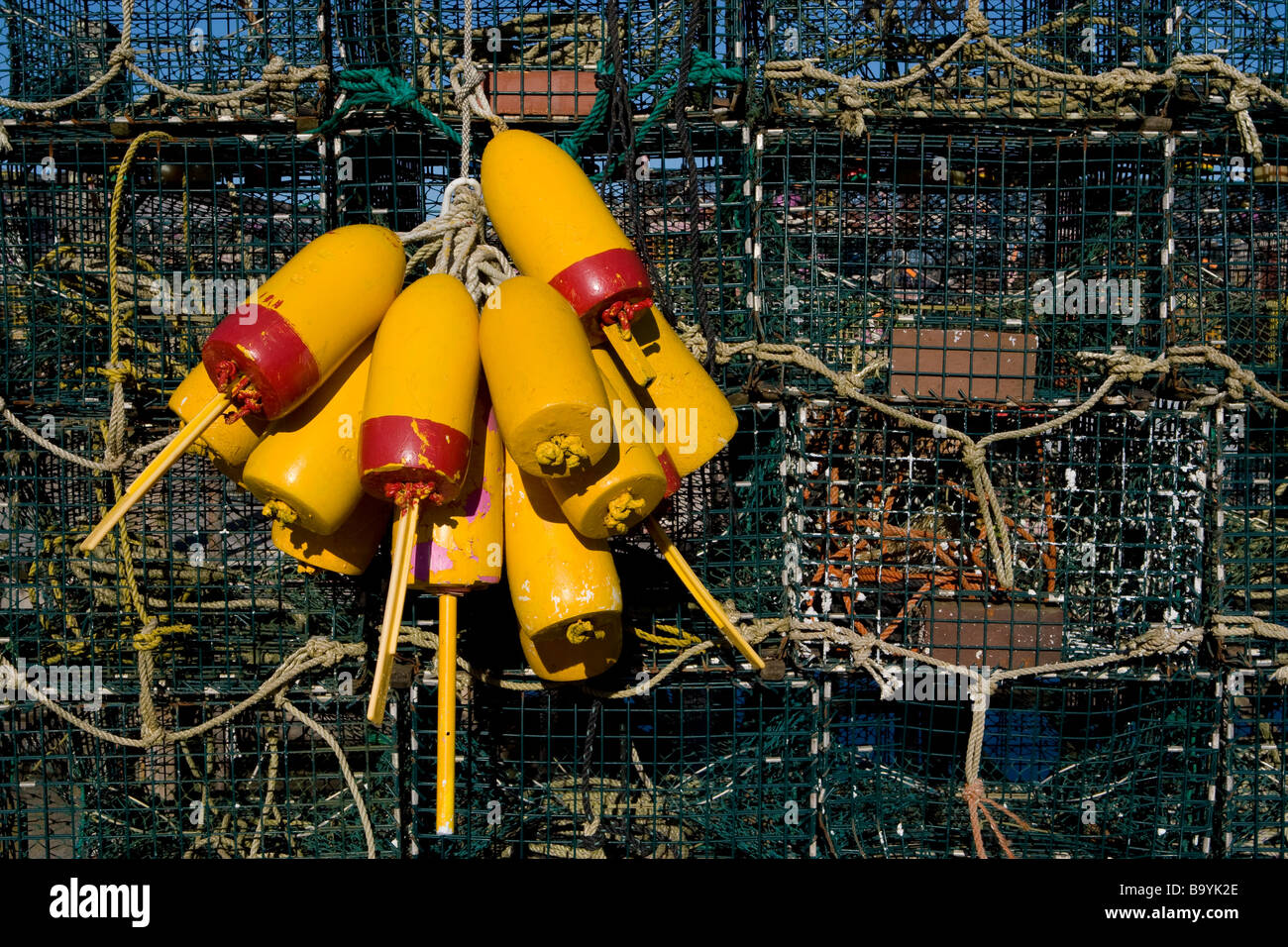 Lobster traps buoys and rope coils on a dock in coastal Maine Stock Photo