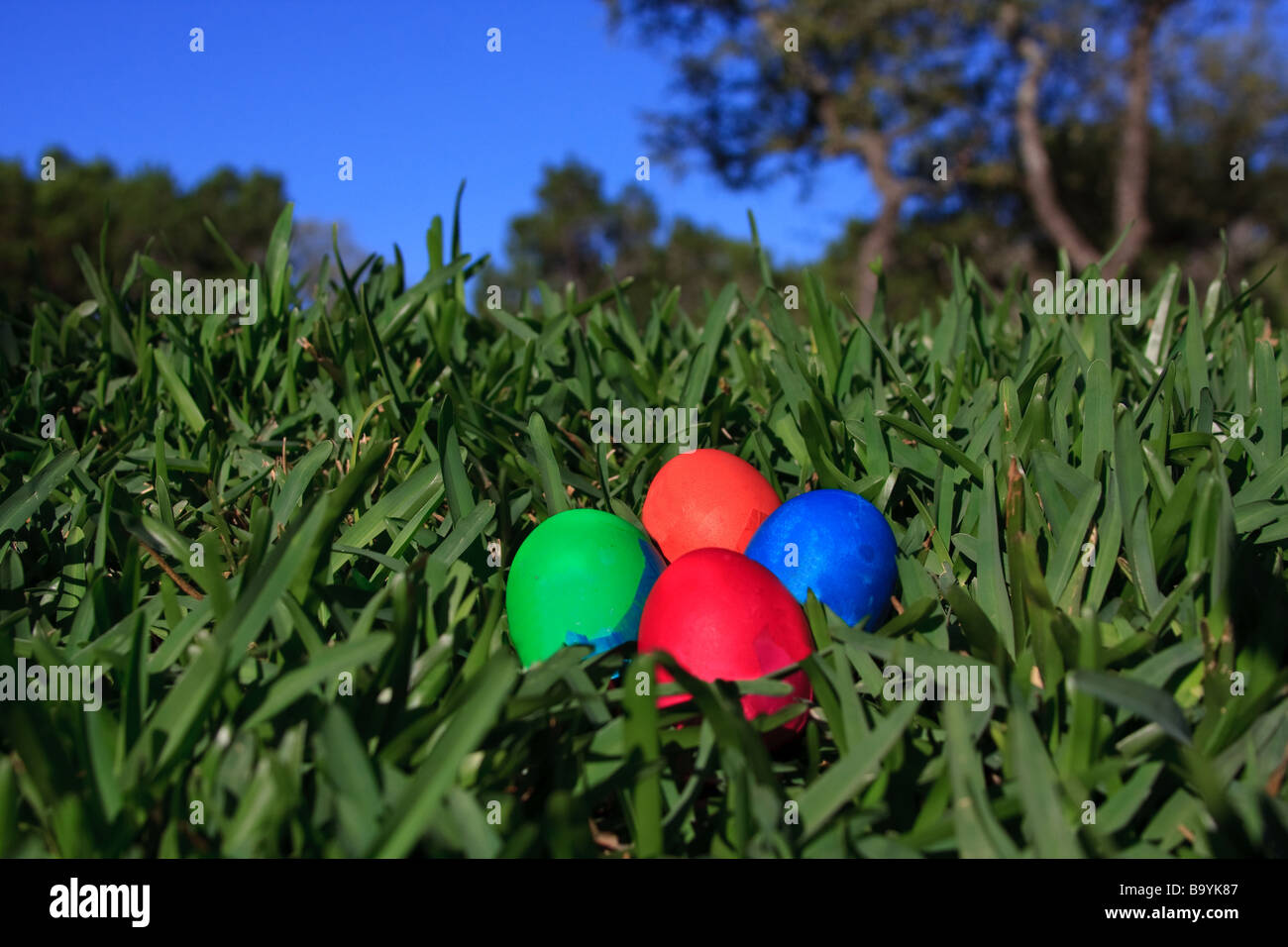 Easter eggs in the grass. Stock Photo