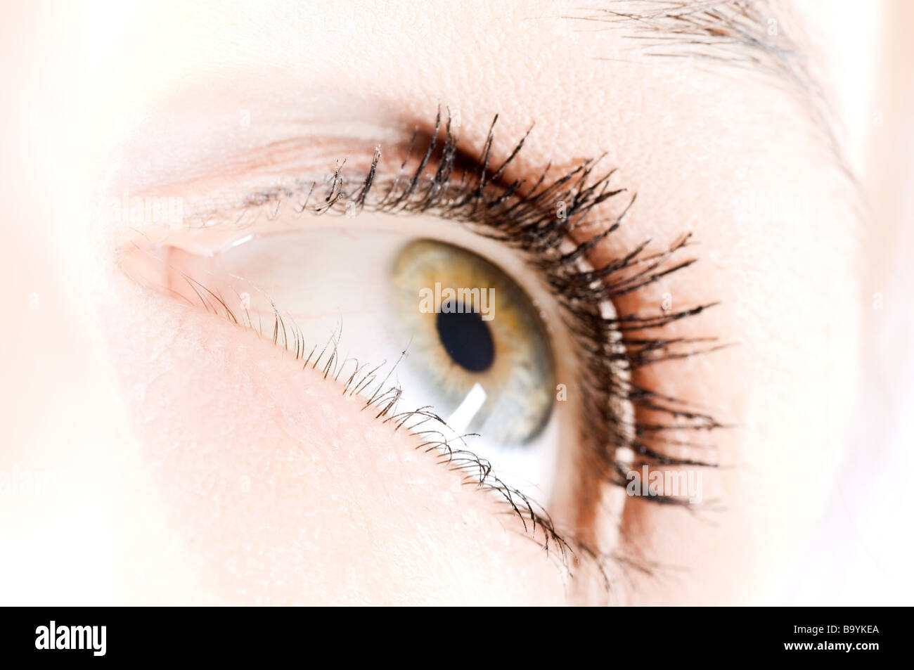Human elements in hi-res stock photography and images - Alamy