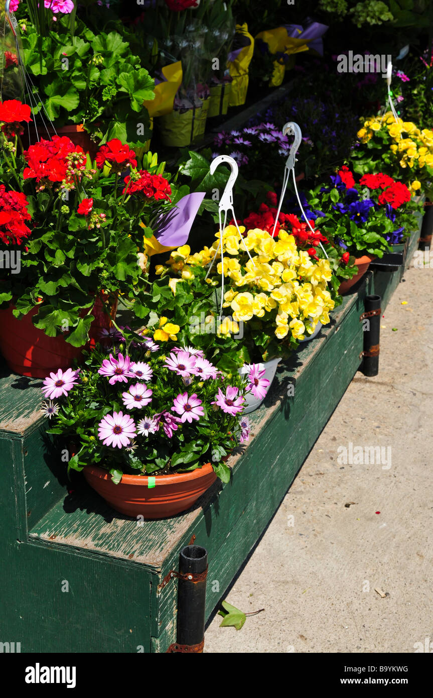 Flower baskets for sale at flower stand Stock Photo Alamy