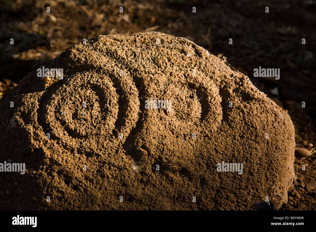 Ancient petroglyphs at the Finca Porvenir made by the Chortega (Mangue) culture on Ometepe Island, Lake Nicaragua. Stock Photo
