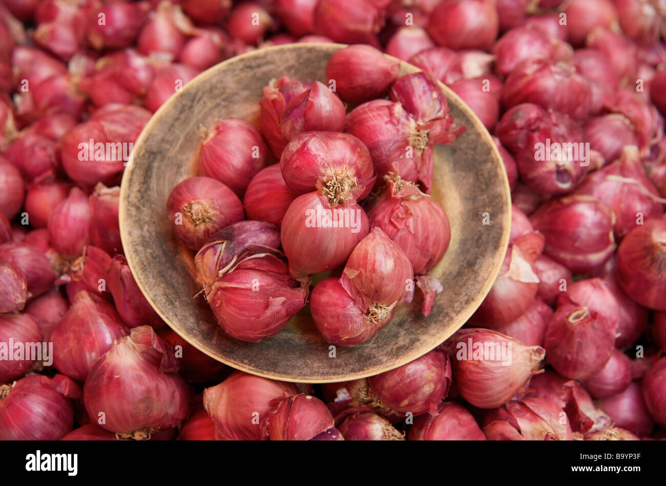 Small Red Onions Shallots Stock Photo 1796207