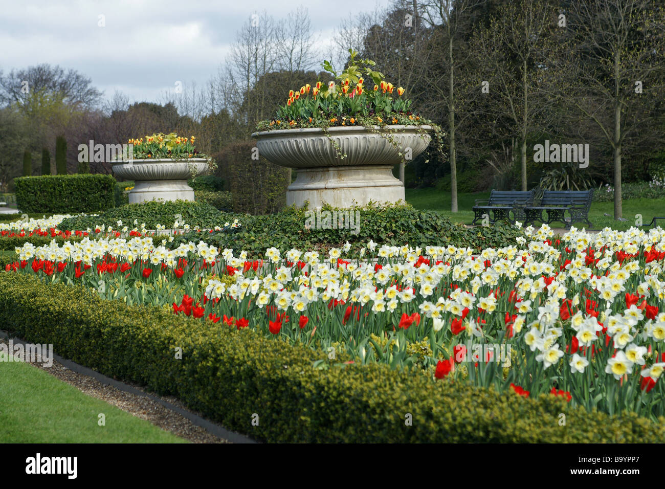Regents Park flowers Stock Photo Alamy
