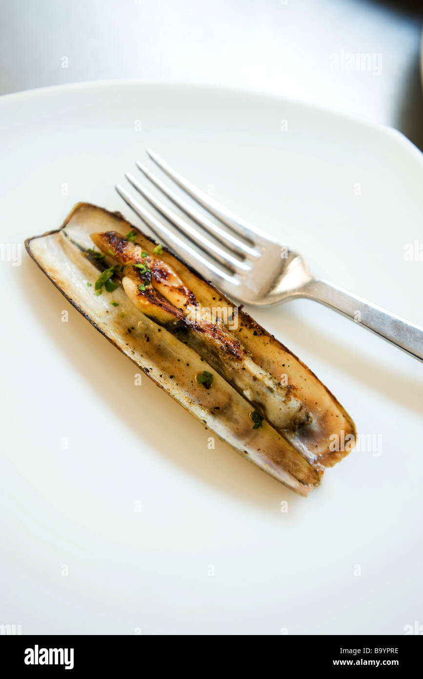 Solitary steamed razor clam on plate with fork Stock Photo Alamy