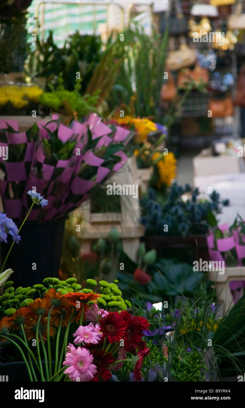 Flower stall In Broadwick Street market Stock Photo Alamy