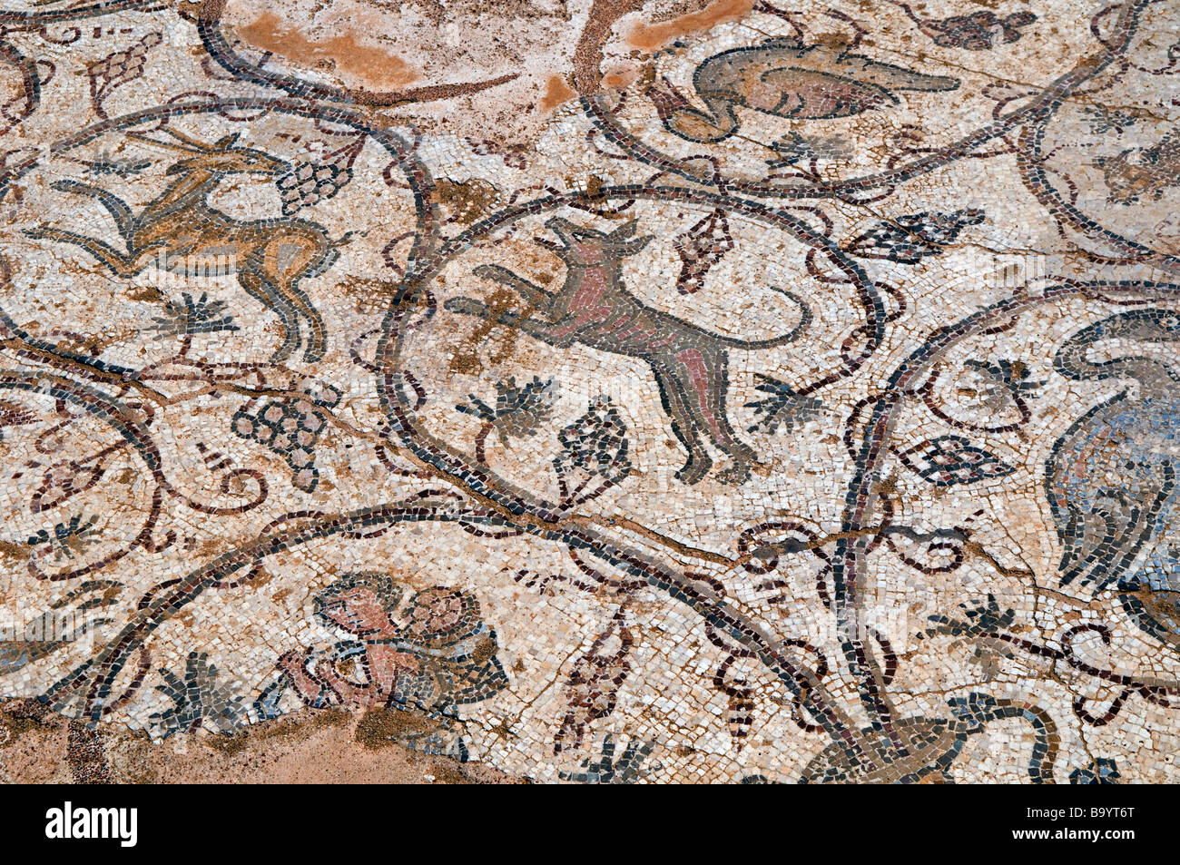 Figurative ancient floor mosaic depicting birds in Caesarea national park Israel Stock Photo