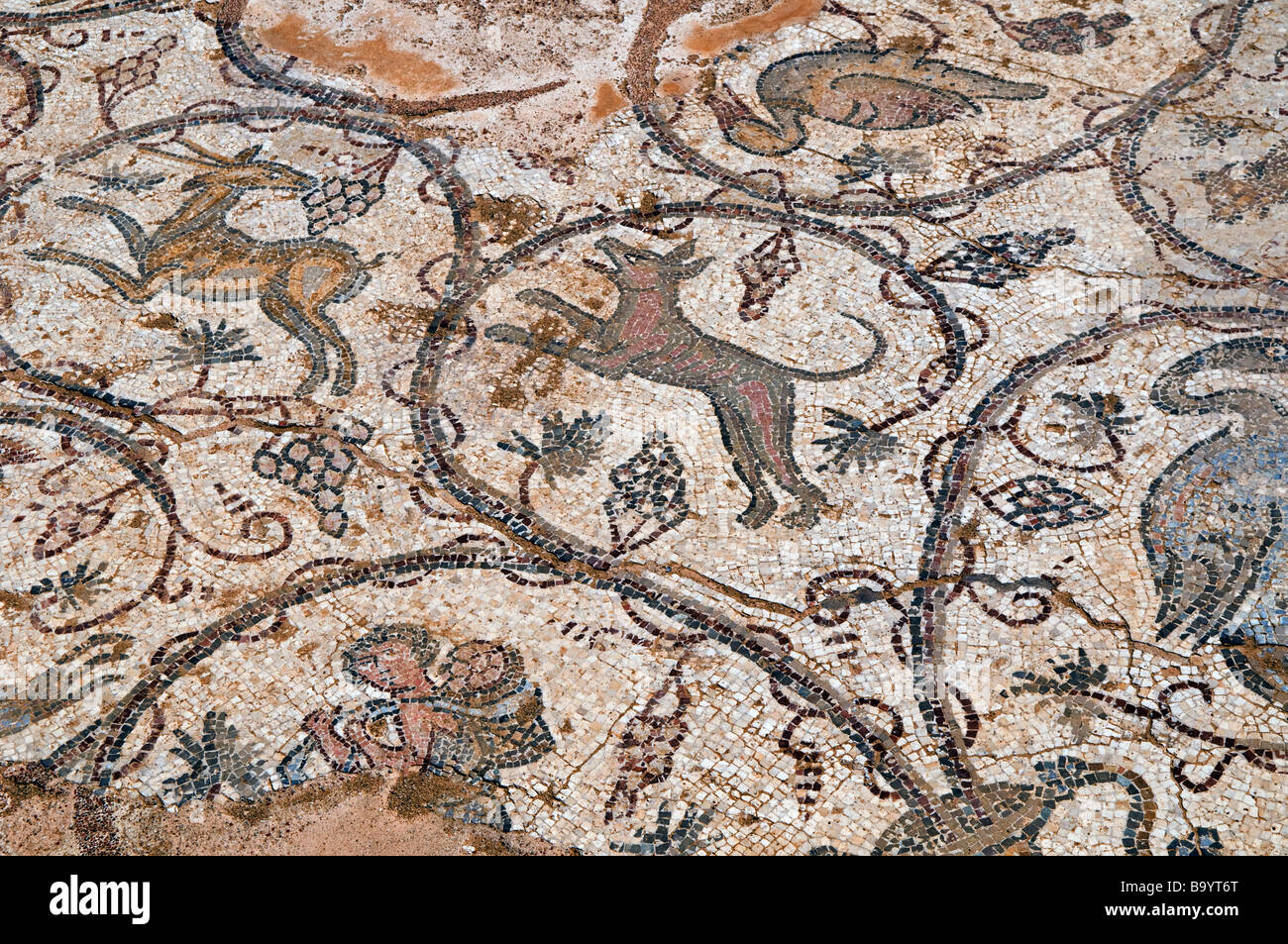 Ancient roman mosaic floor hi-res stock photography and images - Alamy