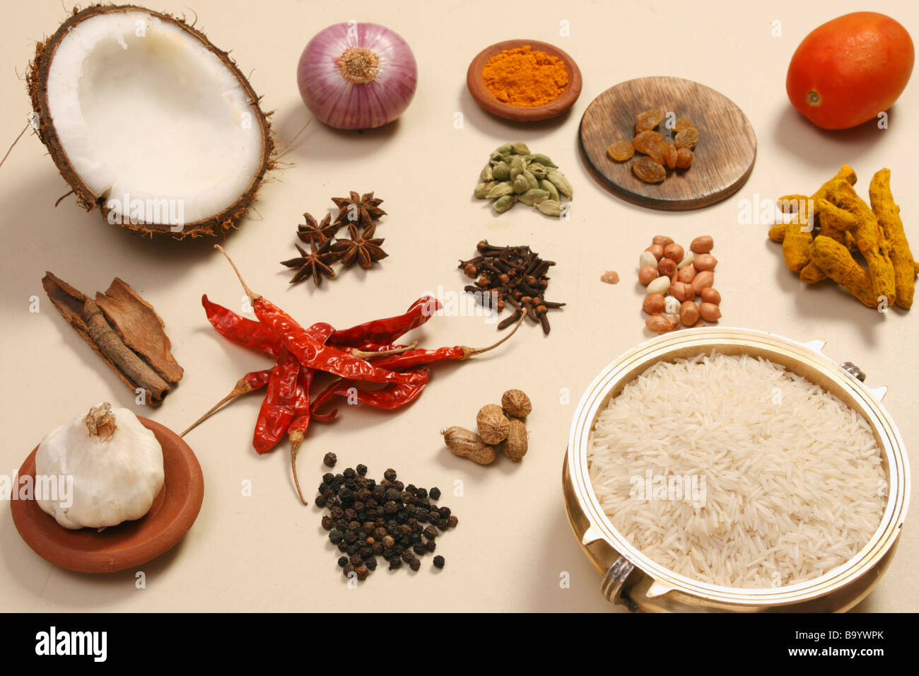 Biryani Ingredients Ingredients used in preparation of Biryani Stock
