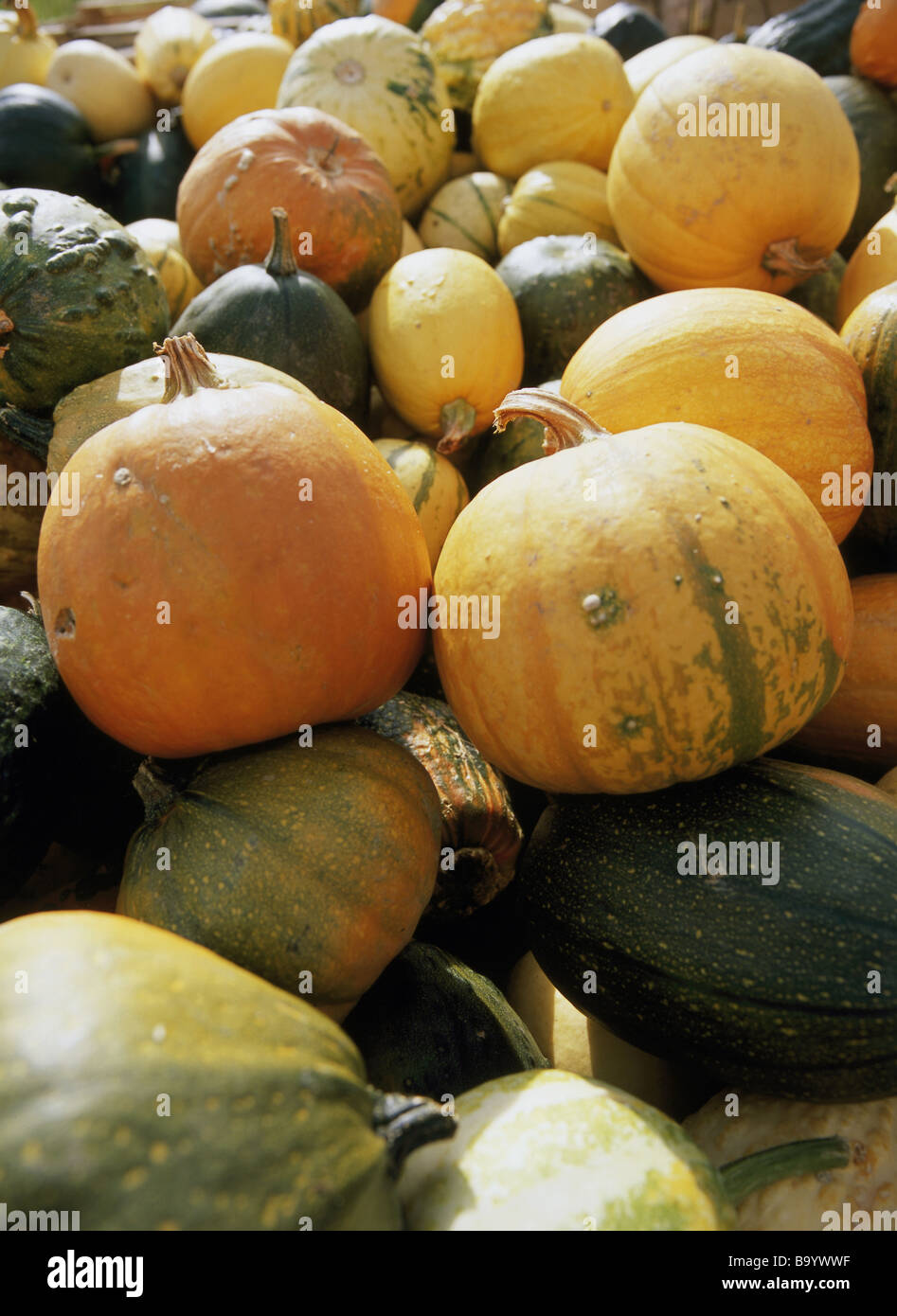 Pepo berry fruits hires stock photography and images Alamy